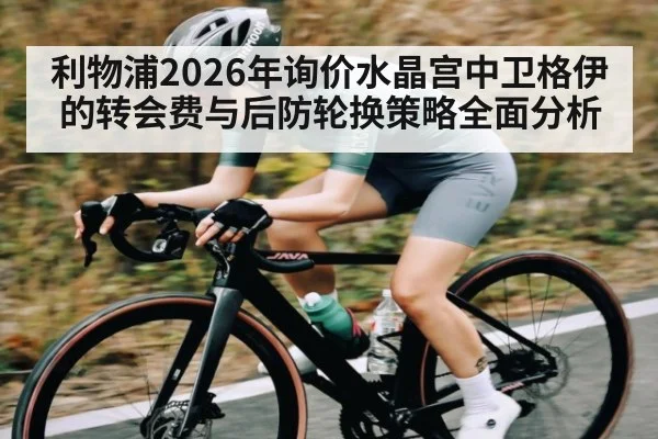利物浦2026年询价水晶宫中卫格伊的转会费与后防轮换策略全面分析